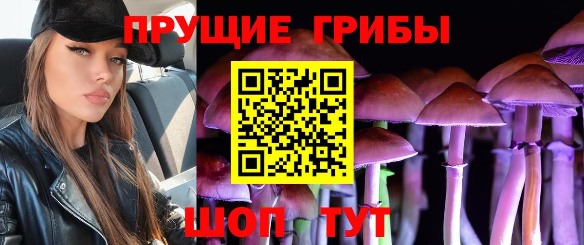 Псилоцибиновые грибы Magic Shrooms  Вход с VPN  Первоуральск 